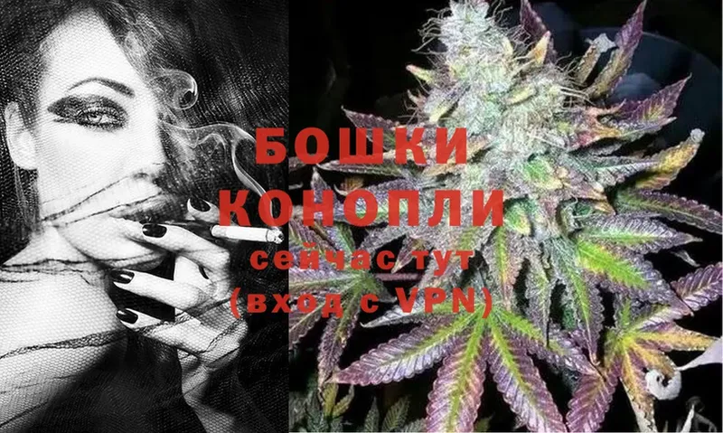 где купить наркотик  Вятские Поляны  Шишки марихуана SATIVA & INDICA 